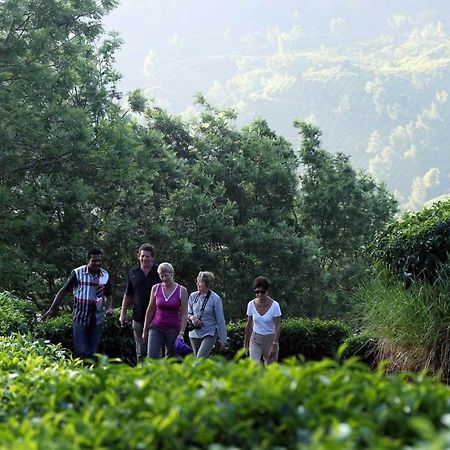 Shamrock Holiday Home Munnar Zewnętrze zdjęcie